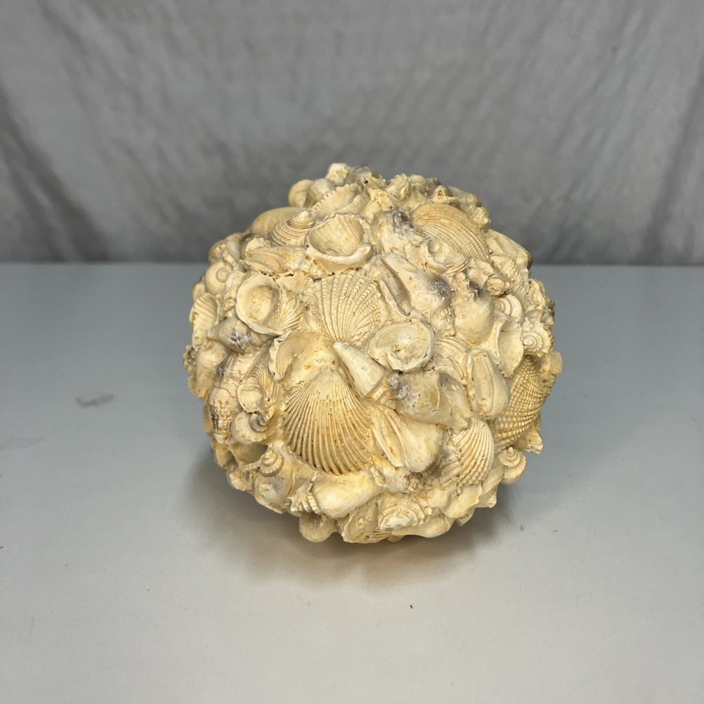 Authentic Sea Shells Round Orb Home Decor 4”x4” Beach Nautical