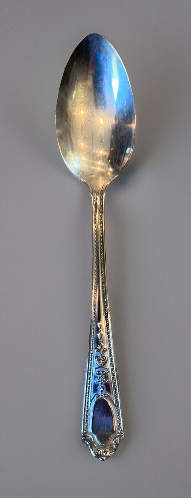 SD1 (Silverplate) by STANDARD || Spoon 5 3/4” ||