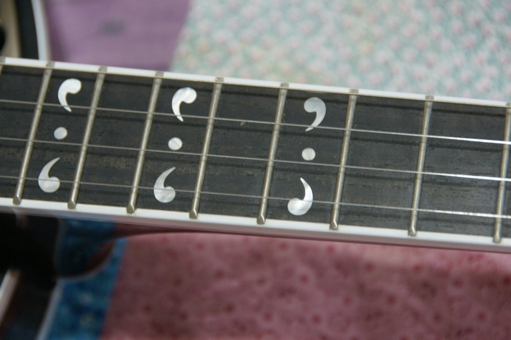 Deering Maple Blossom Plectrum 4 string Banjo