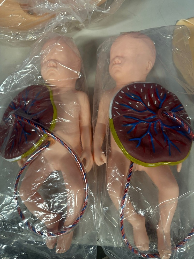 Advanced Midwifery Training Childbirth Simulator Life Size Gyn, MISSING PIECES