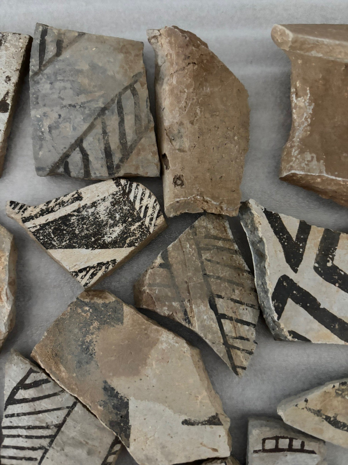 Ancient Anasazi Native American Pottery Shards Arizona L2-E FREE SHIPPING