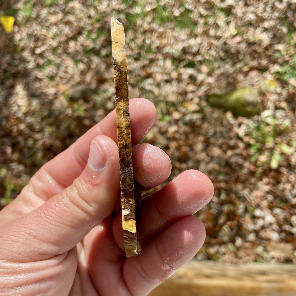 Unique Picture Jasper Rough Slab 1.07 Oz