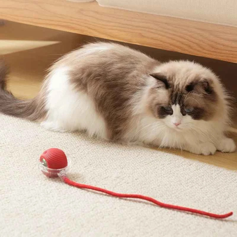 2Pcs Automatic Rolling Ball Smart Cat Dog Toy Electric Pet Self-moving Kitten
