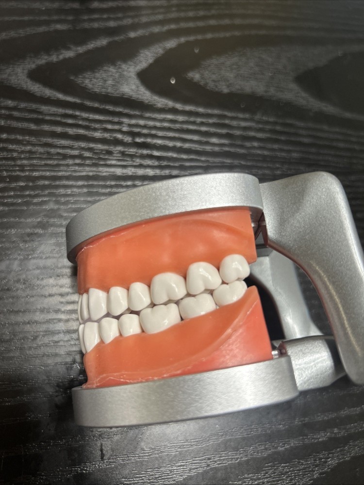 Acadental Optioned MP_R320