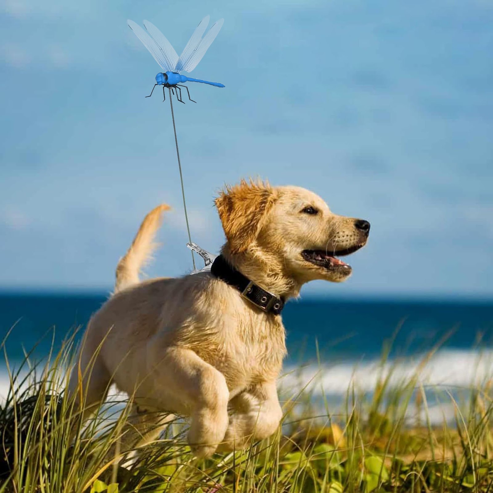 4* Fake Dragonfly Clips Clip on Dragonfly for Outdoors 3D Dragonfly Garden Decor