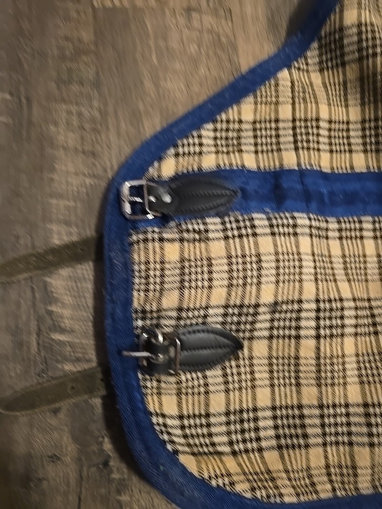 Horse Blanket 66