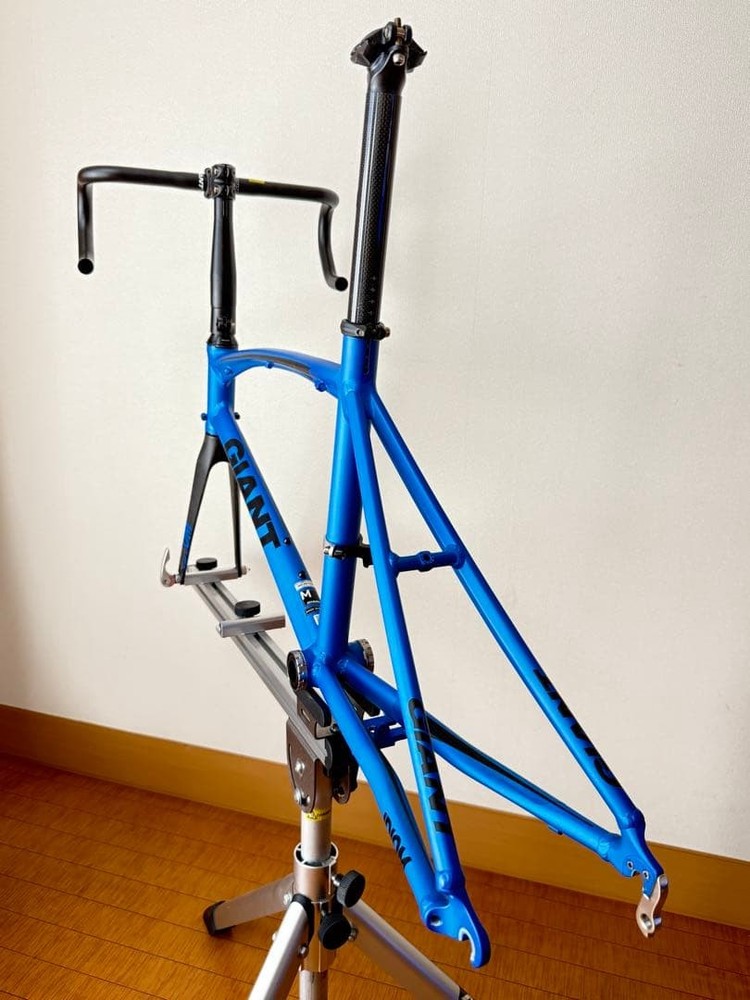 GIANT IDIOM0 2017 Frame Set 20 inches (451)