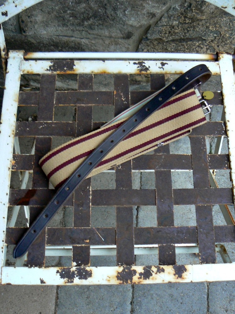 Striped Surcingle to Secure Blanket Unbranded Buckle Strap Web Elastic Leather