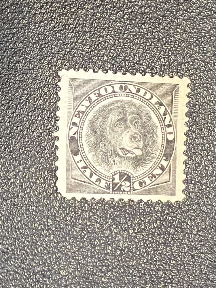 Newfoundland stamp 58 MNG