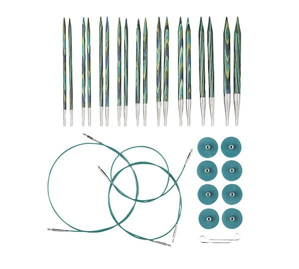 Interchangeable Knitting Needle Set Wooden Circular Needles Birch Kit Case