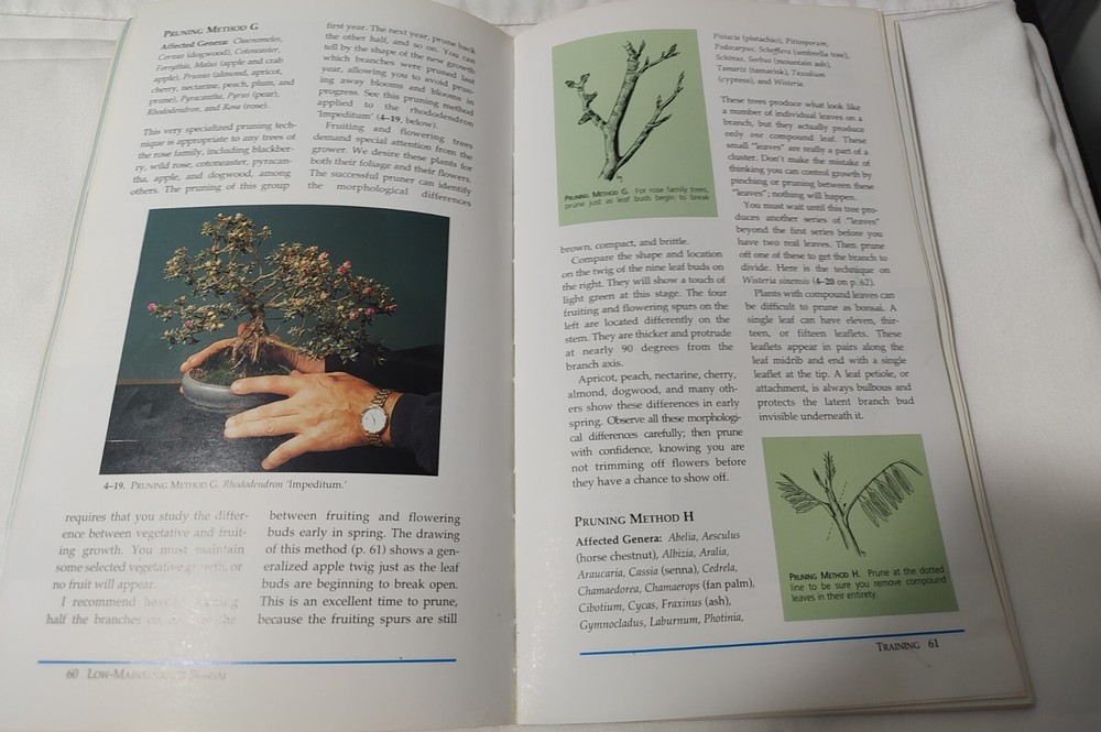 LOW MAINTENANCE BONSAI by Herb Gustafson
