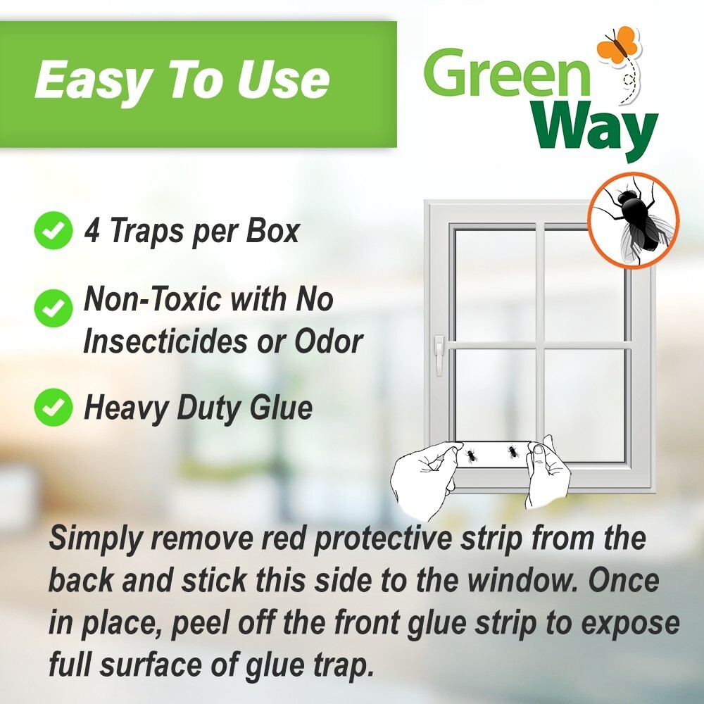 Window Fly Traps Non-Toxic, Easy Application 1 pack = 4 traps by Greenway