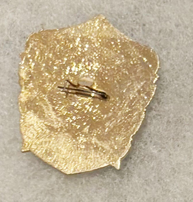 Russian Airborne Troops Badge