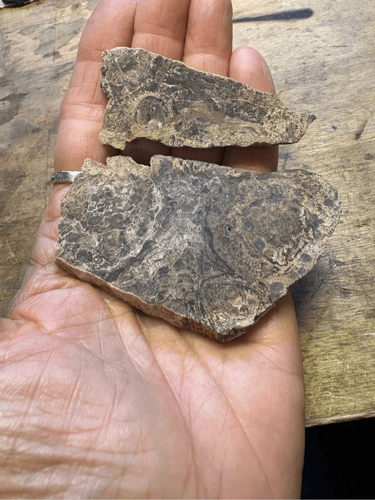 Petrified Wood Slabs (2)