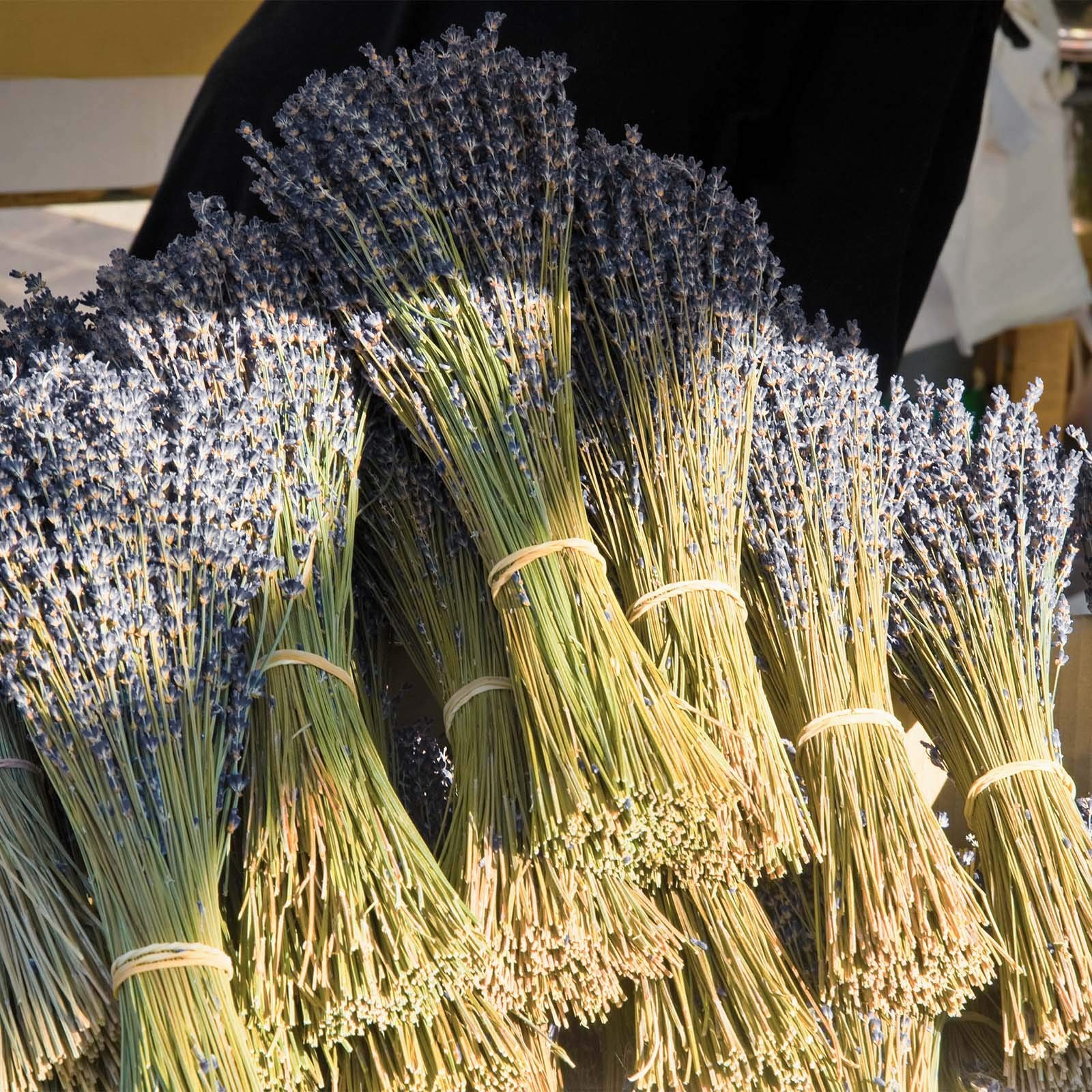 Dried Lavender Flowers Bundles 200 Stems Dry Lavender Bunch for Home 200+ stems