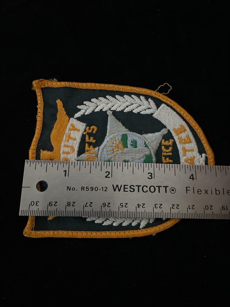 Florida MANATEE DEPUTY SHERIFFS OFFICE DEPT Patch