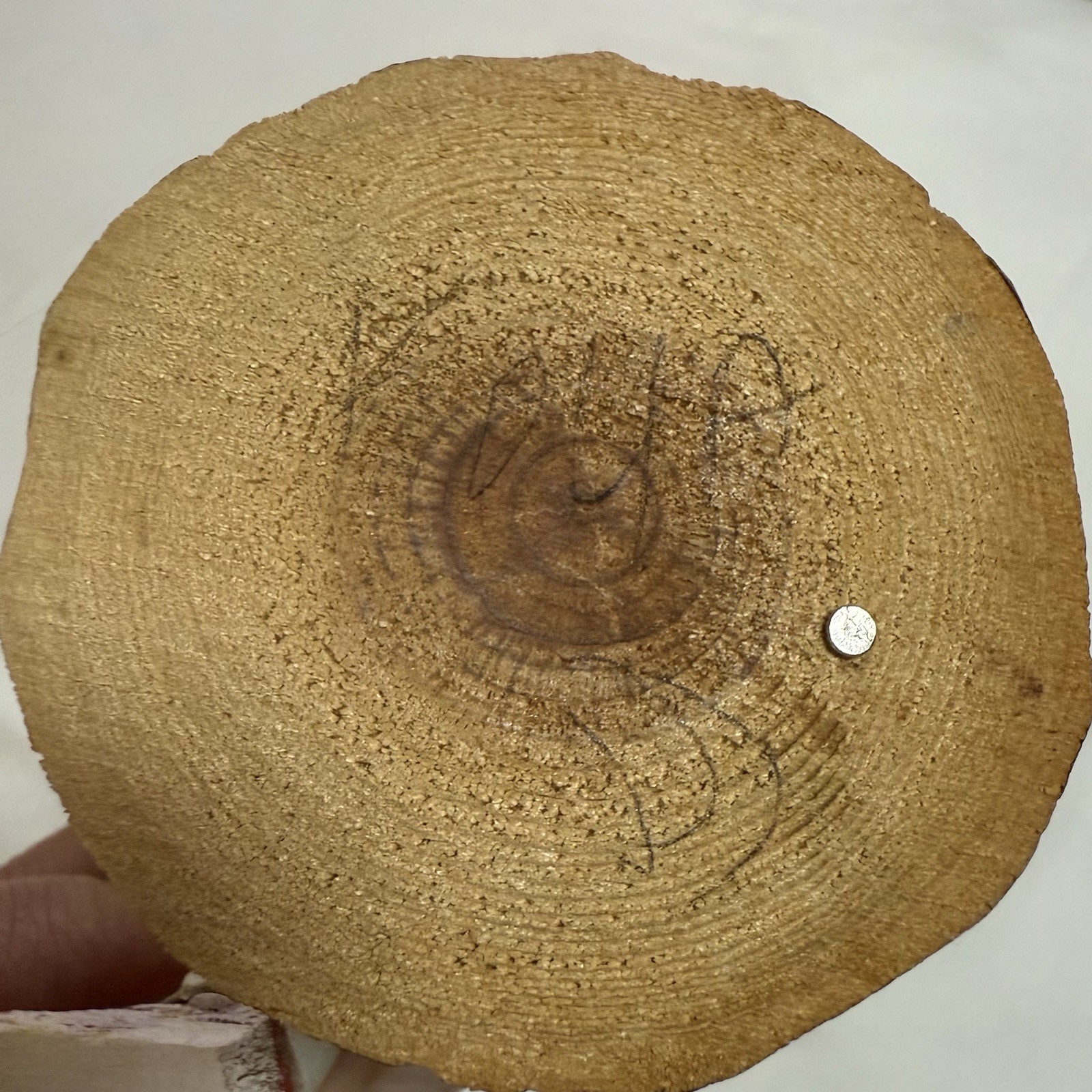 7" Kachina Signed Koya DJ?