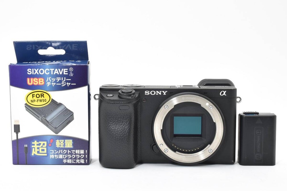 Sony a6400 BattCharger Set S039