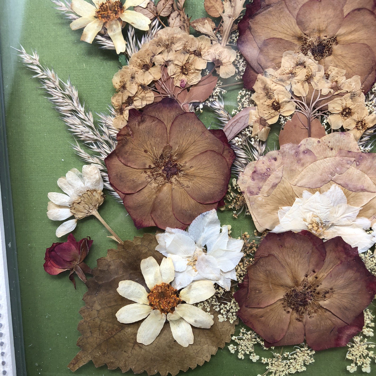 Framed Pressed Flowers Distressed Frame 10.5" x 12.5" Cottagecore Country Chic B