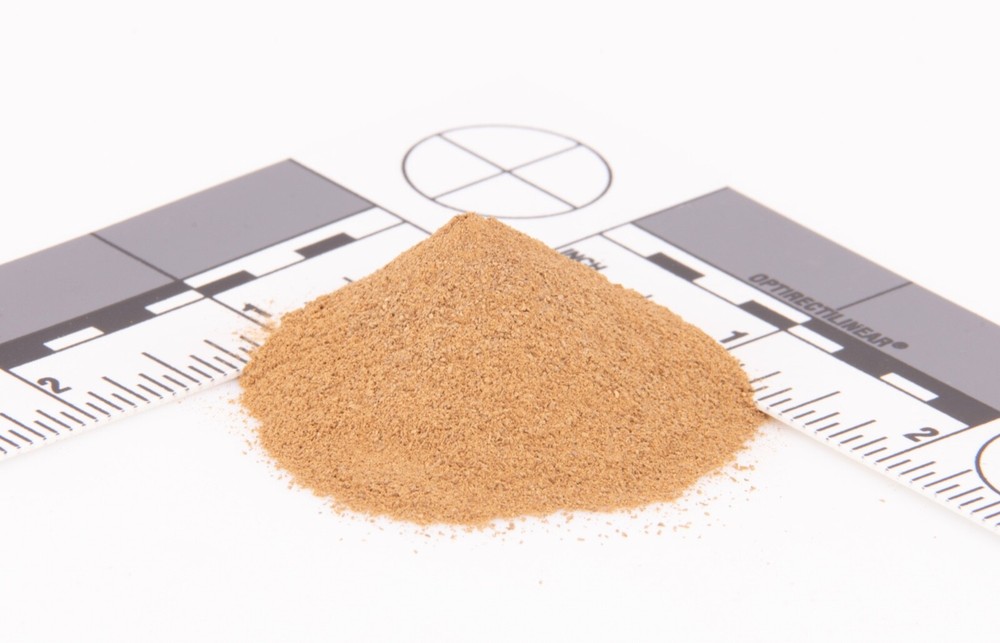 Triceratops Bone - 100% Pure & Natural