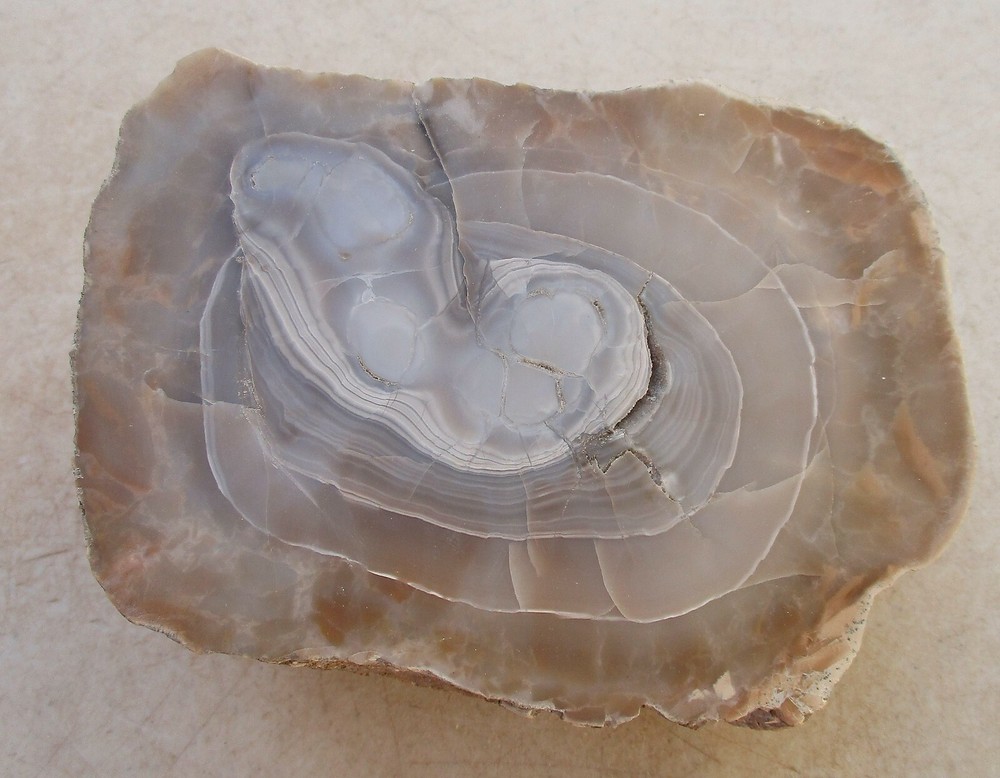 Champagne Agate Face Polished Piece for Display or Rough