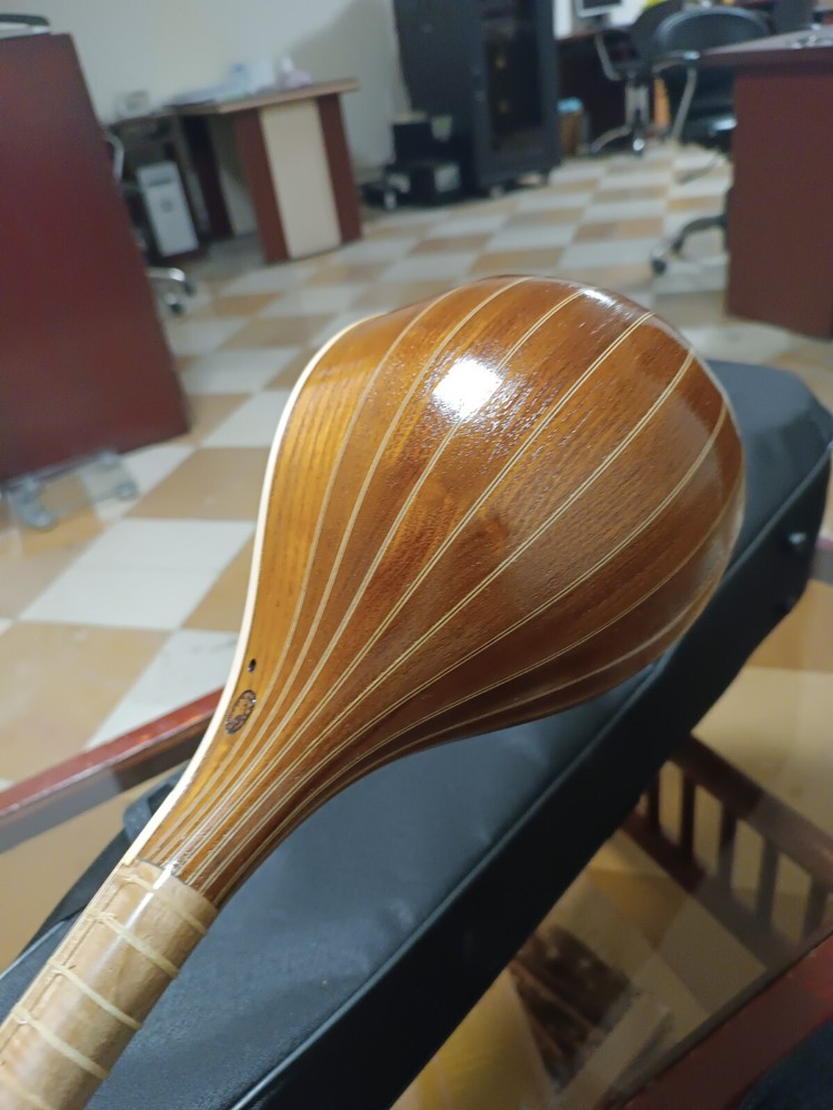 High quality professional Setar,Sehtar,Sitar with hard case