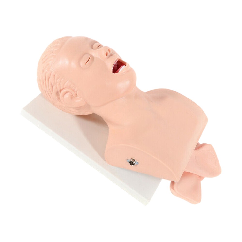 Intubation Manikin Study Teaching Simulator Airway Management Trainer Tool Model