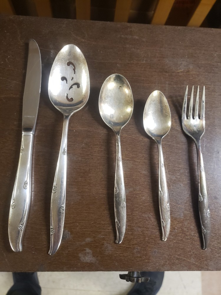 Oneida Community SILVER FLOWERS Silverplate 23 Assorted Pieces