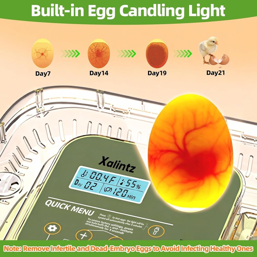 Automatic 12 Egg Incubator - Digital Temperature/Humidity Display
