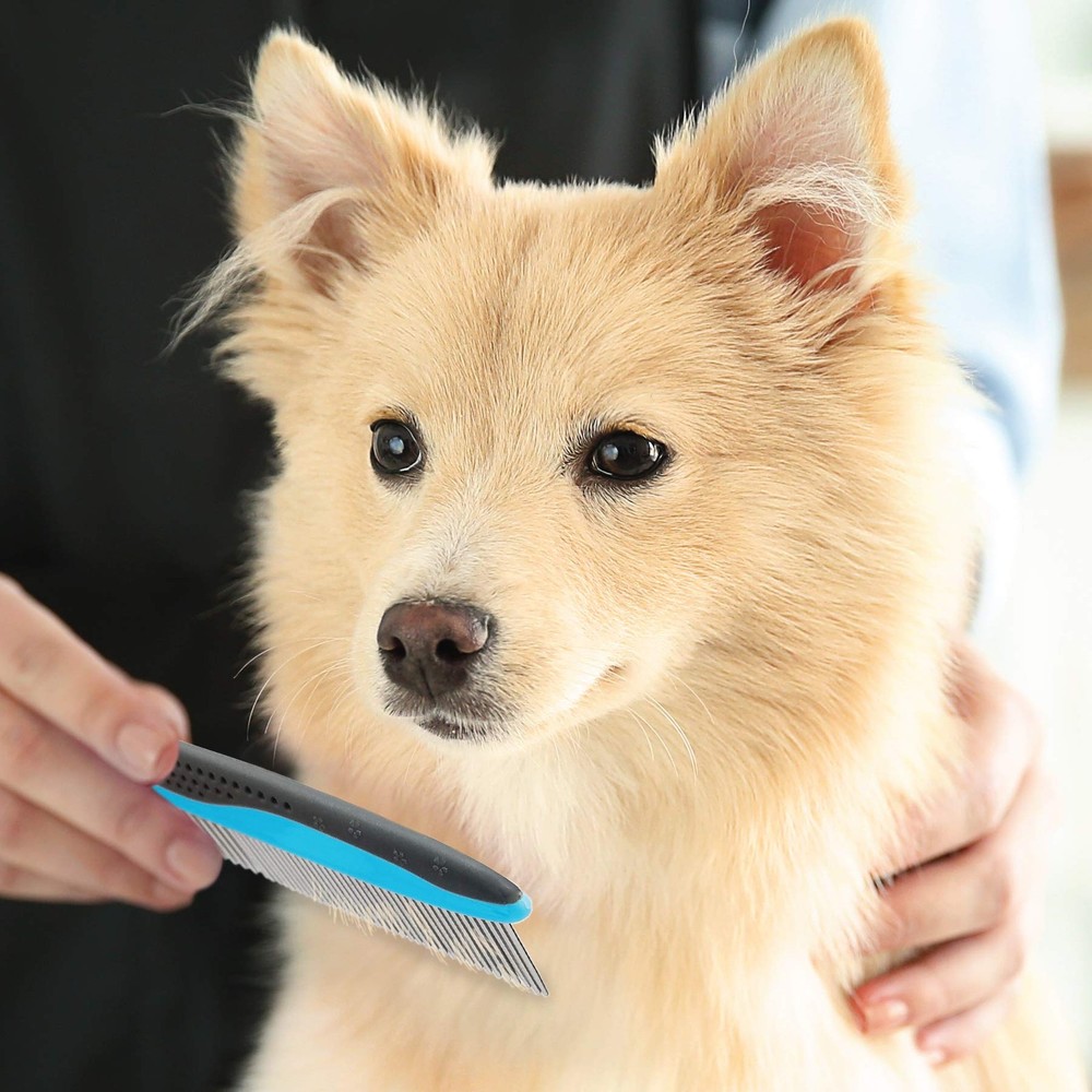 Pets First 2 Pack Dog Comb Small & Large PET for & Large, Blue