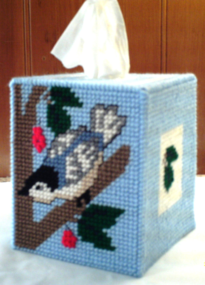 "Nuthatch & Leaves" Tissue Box Cover (Plastic & Yarn) Finished