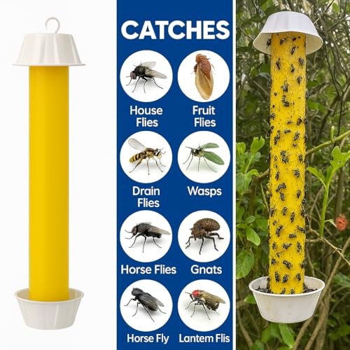 Fly Traps for Indoors & Outdoor - Effective Pest Control 4 Pack