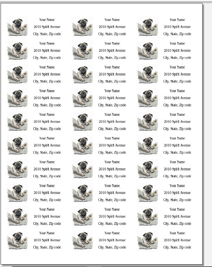 150 Pug Reading Newspaper Glasses Mailing Return Address Labels Personalized