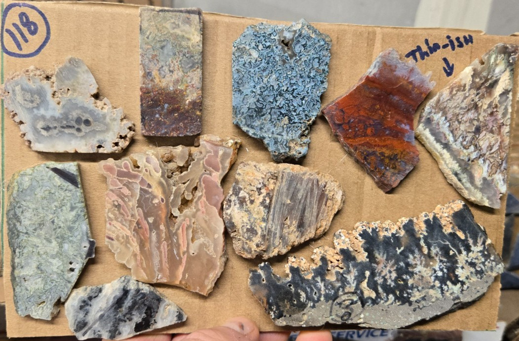 Assorted Plume & Moss Agates, Trimmed Cabochon Slabs Preforms 10 Pcs, Flat 118