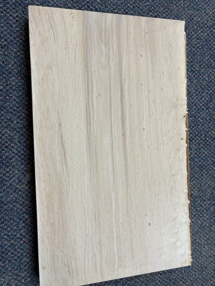 Alder 1-piece guitar body blank
