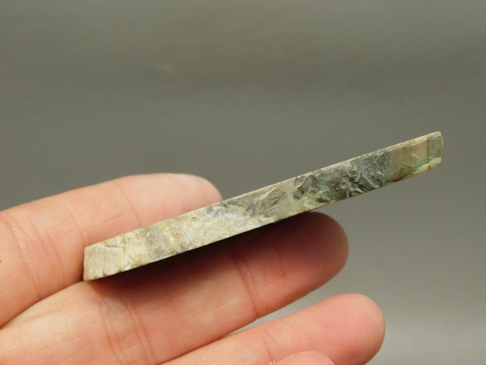 Cotham Marble Fossil Small Polished Stone Slab Stromatolite #O7
