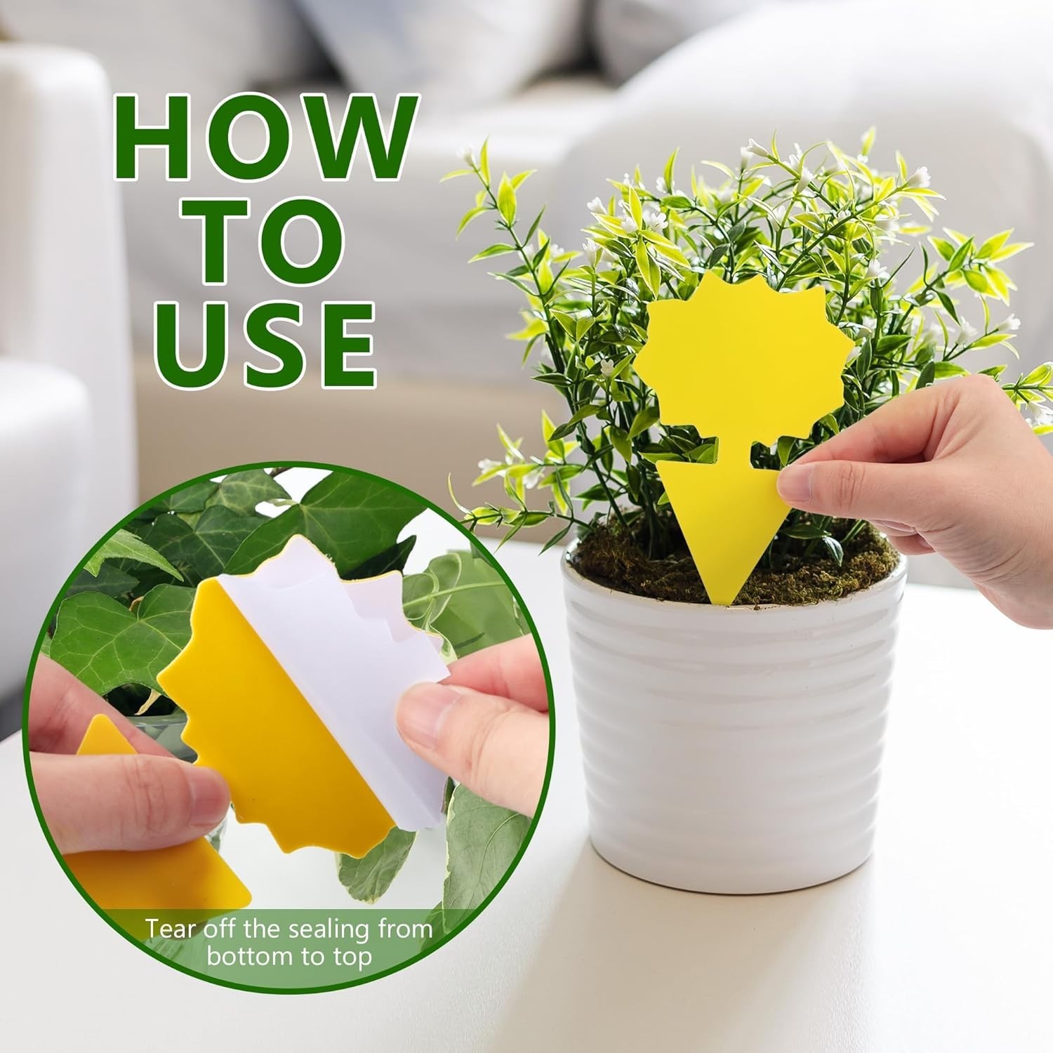 48PCS Sticky Fruit Fly Traps, Fungus Gnat Killer Trap use Indoor Outdoor