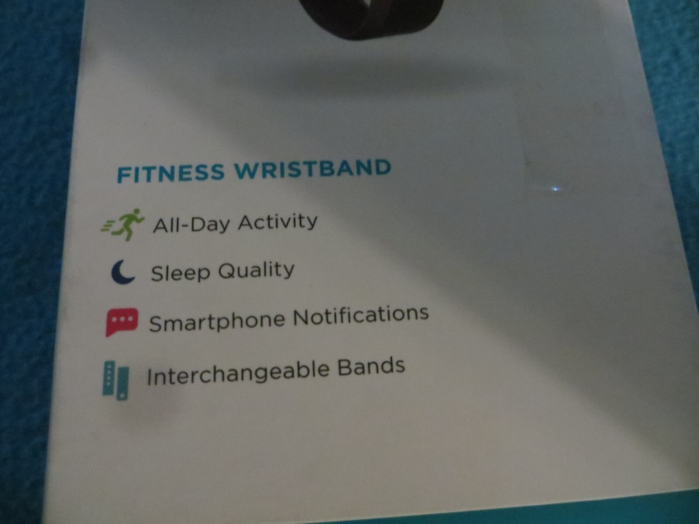Fitbit Alta Size Small Purple