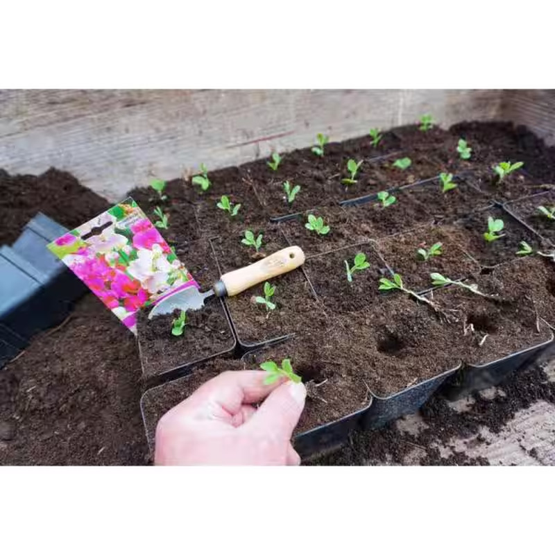 4-Piece Bonsai Tool Kit