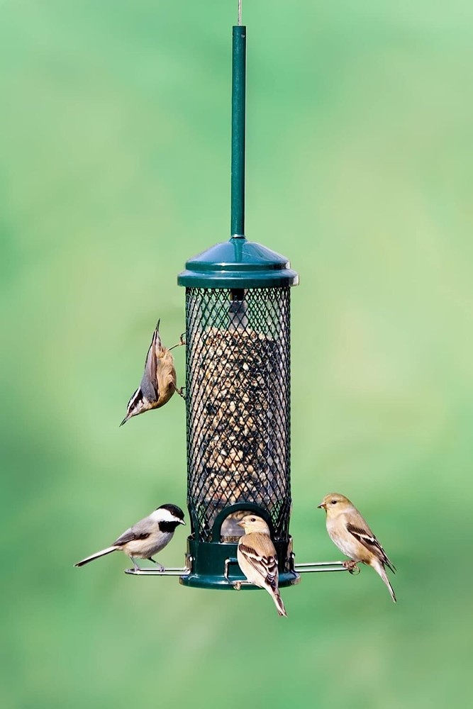 Brome Squirrel Buster Mini Bird Feeder, Squirrel Proof