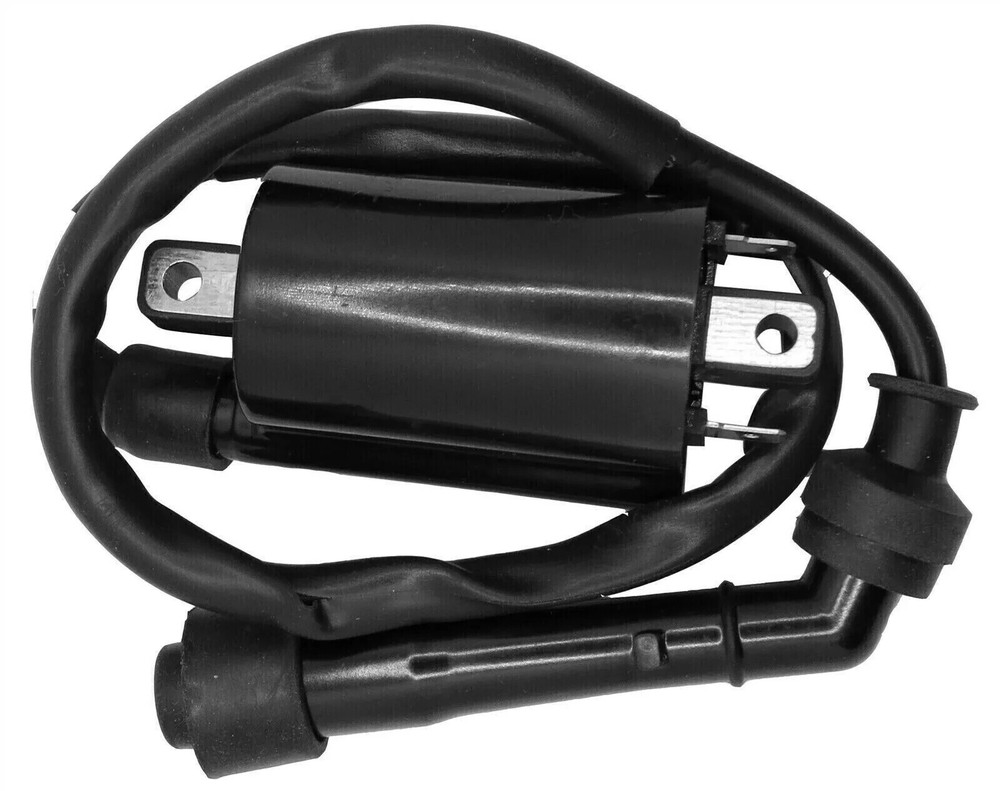 2x Ignition Coil For Suzuki VS800GL VS800 Gl Intrude