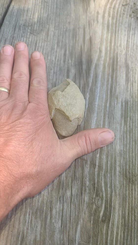 Stone (oval) embedded inside of shale