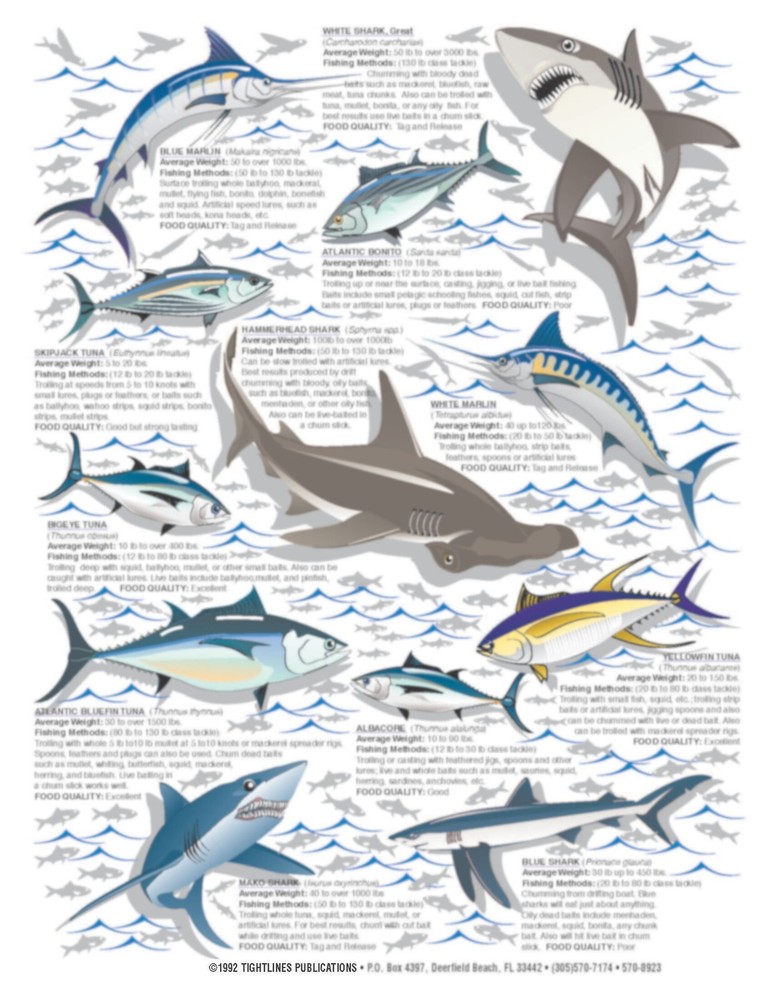 Saltwater Fish Identification #2 -- Waterproof Quick Reference Guide