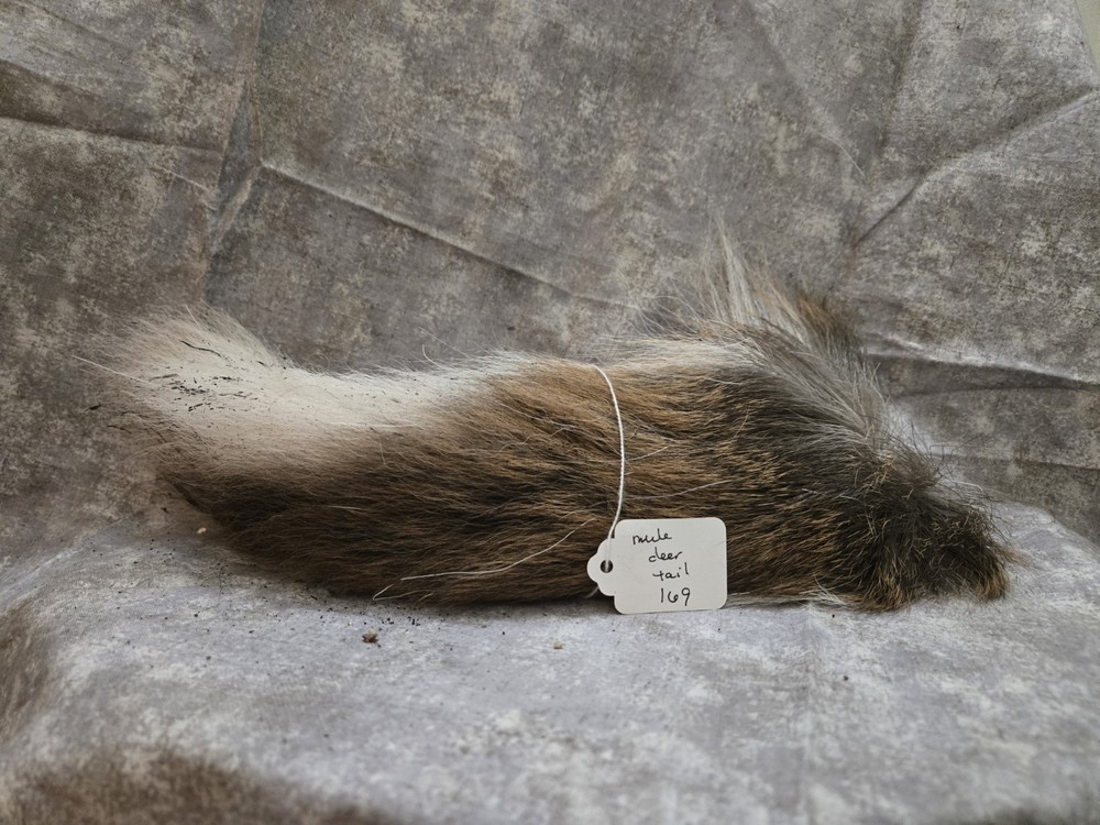 1 Dried Mule Deer Tail 169