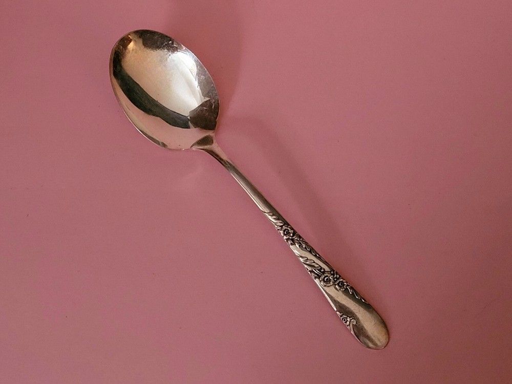 BRIDAL WREATH ~ Bouillon  Spoon ~ Tudor Plate ~ Silver Plate