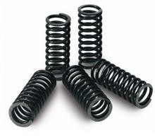 Epi PATV20 Clutch Spring