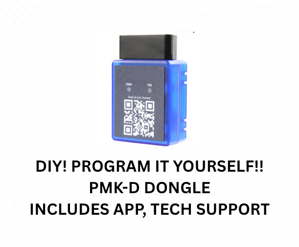 PMK-D KEYLESS REMOTE DONGLE KIT, W/ KEY CUTTING SERVICE
