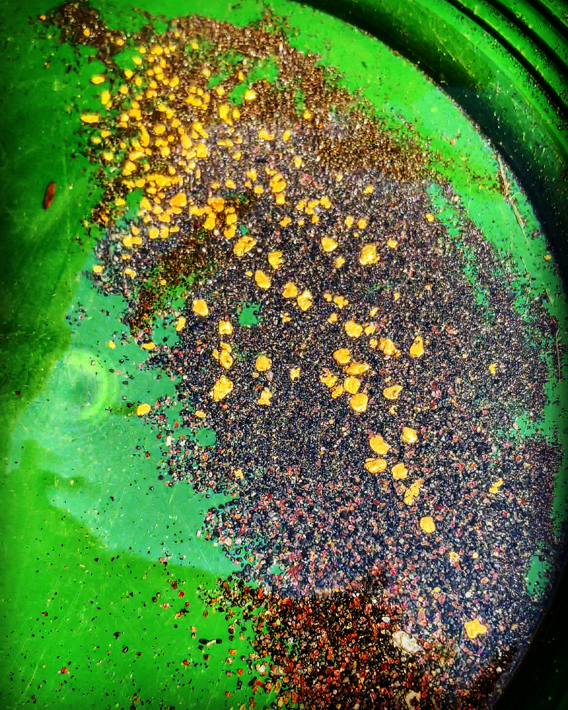 GOLD Paydirt Guaranteed Unsearched Rich with black sand + Added Gold concentrate