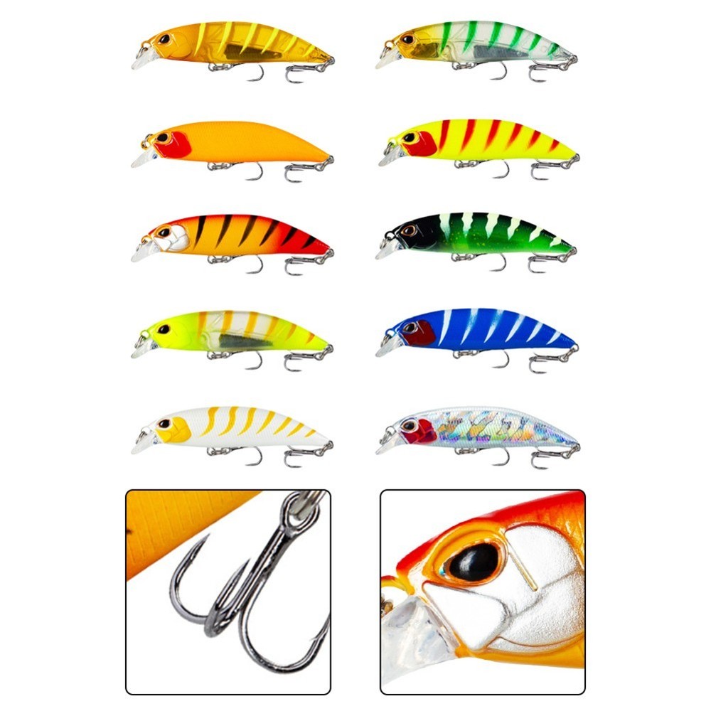 Artificial Lure with 3D Eyes and Treble Hooks for Targeting Predatory Fish