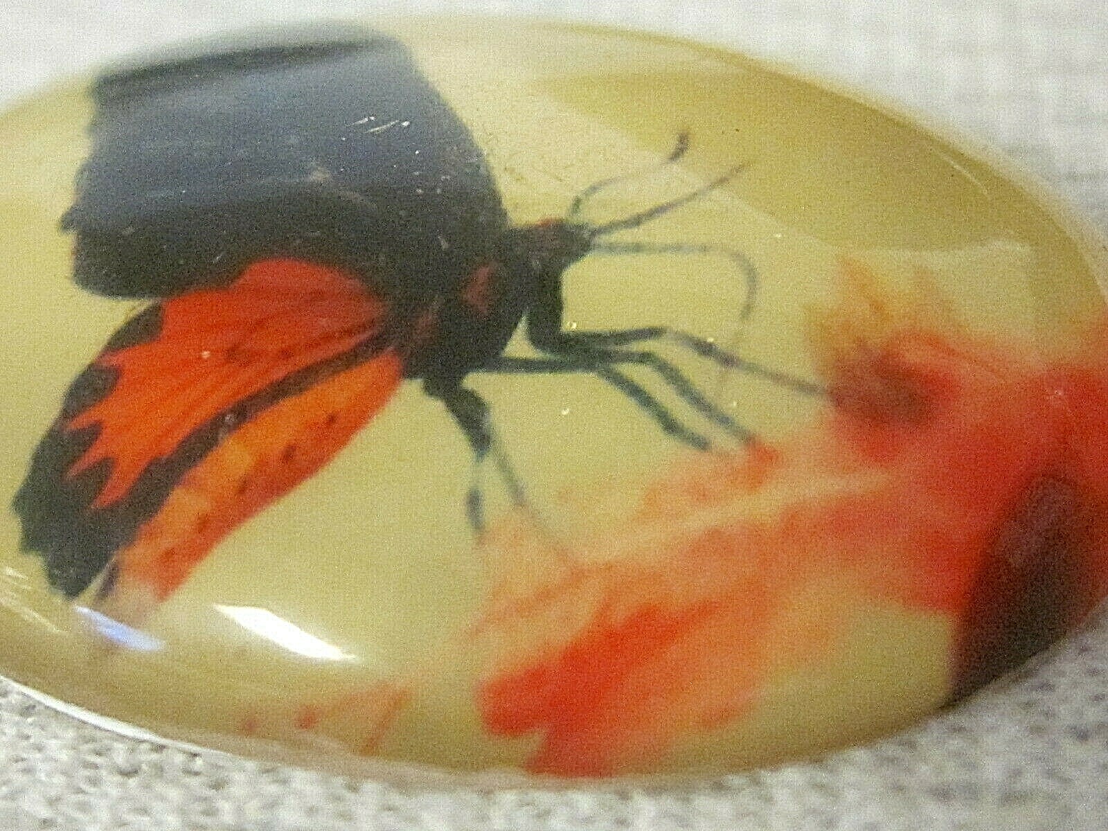 * SALE * VTG CAMEOS 3-D 40x30mm HUGE 16 LOT JEWELRY RESIN FINDINGS REPAIR CRAFTS